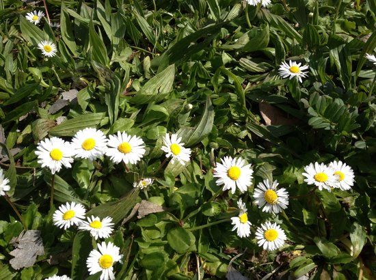 Parco Urbano Franco Agosto